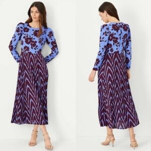 Ann Taylor Floral Ikat Pleated Flare Dress Size 12